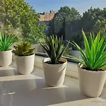 Lägenhet Garsoniera Ultracentral Constanţa