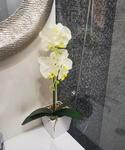 Garsoniera Ultracentral * Köstence