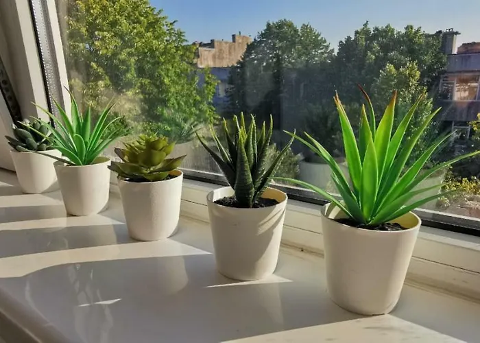 Lägenhet Garsoniera Ultracentral Constanţa